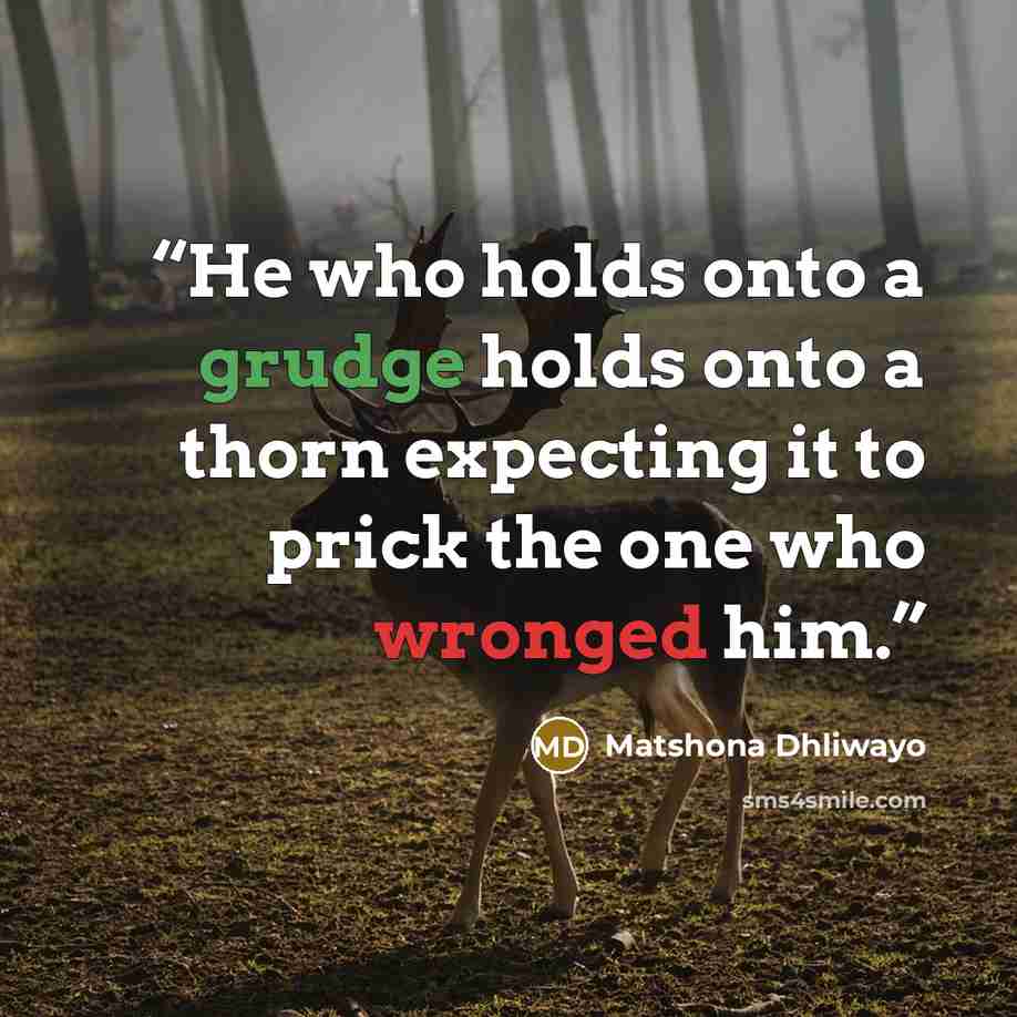 “He who holds onto a grudge holds onto a thorn expecting it to prick the one who wronged him.” quote by Matshona Dhliwayo
