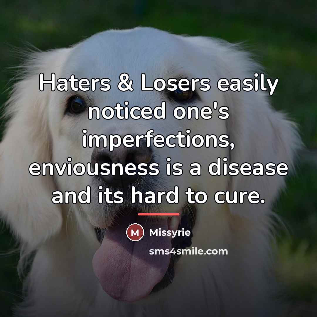 “Haters & Losers easily noticed one's imperfections, enviousness is a…” quote by Missyrie