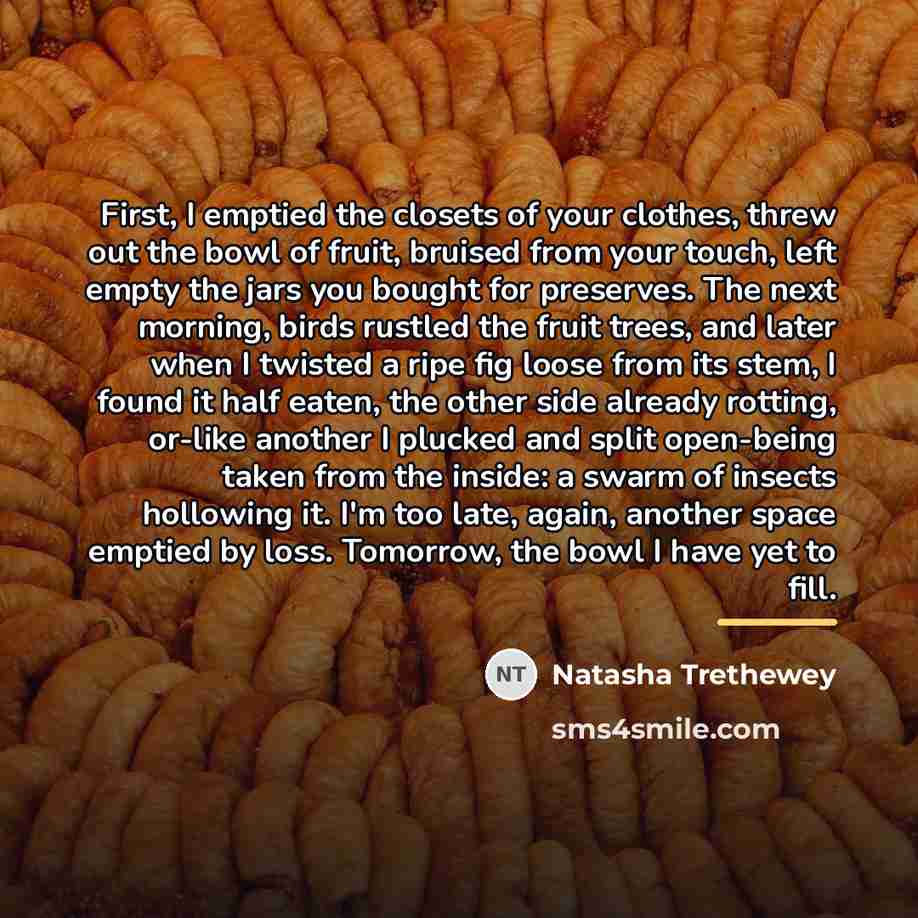 “First, I emptied the closets of your clothes, threw out…” quote by Natasha Trethewey
