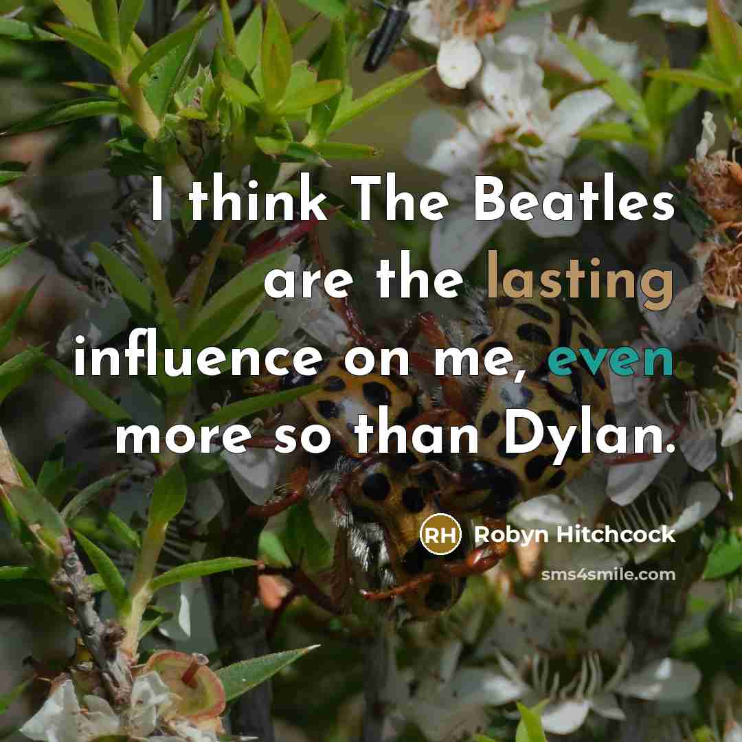 “I think The Beatles are the lasting influence on me, even more so than Dylan.” quote by Robyn Hitchcock