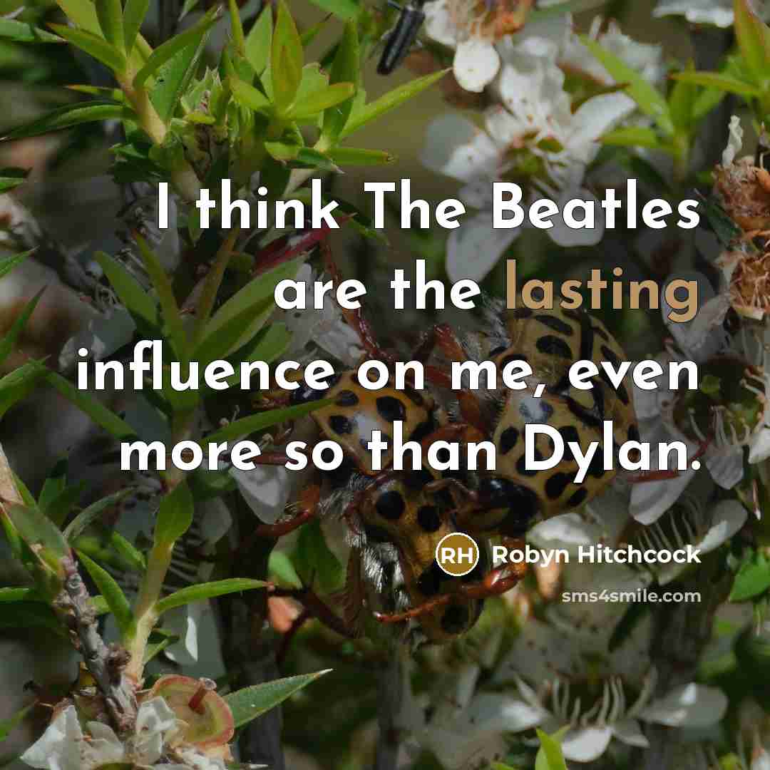 “I think The Beatles are the lasting influence on me,…” quote by Robyn Hitchcock