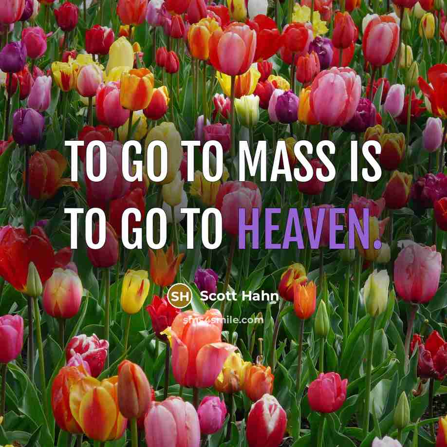 “To go to Mass is to go to Heaven.…” quote by Scott Hahn