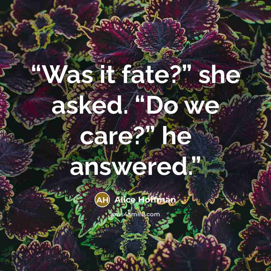 “Was it fate?” she asked. “Do we care?” he answered.” quote by Alice Hoffman