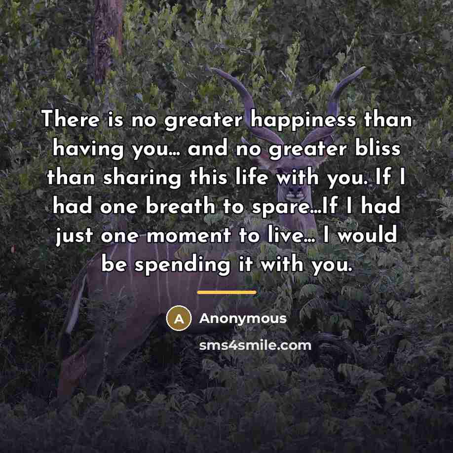 “There is no greater happiness than having you... and no…” quote by Anonymous