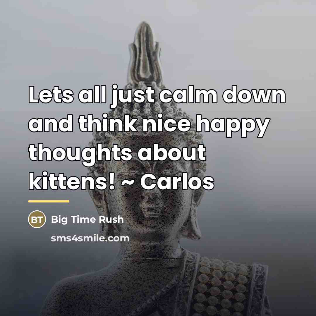 “Lets all just calm down and think nice happy thoughts…” quote by Big Time Rush