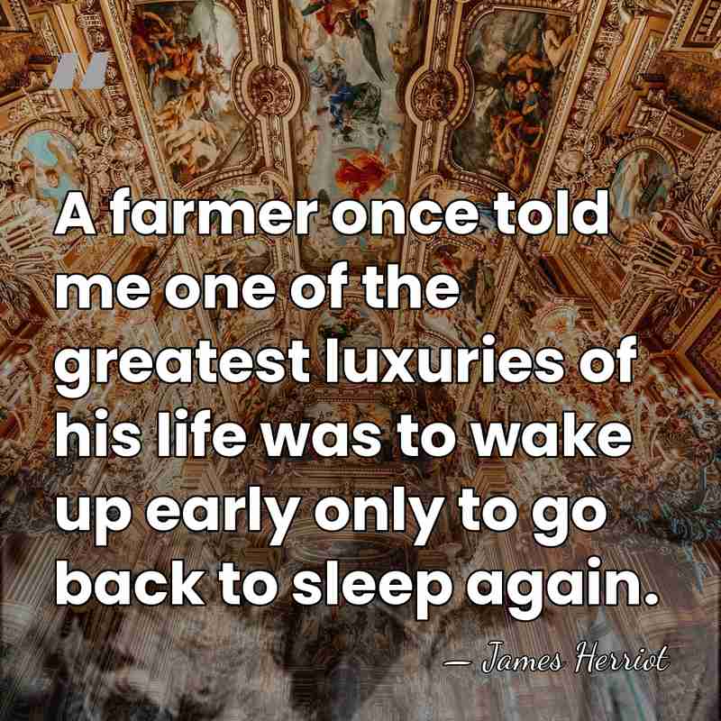 A farmer once told me one of the greatest luxuries of his&hellip; - James Herriot