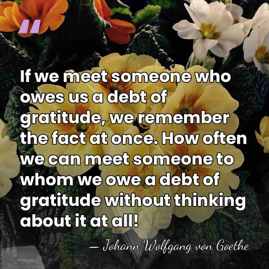 If we meet someone who owes us a debt of gratitude, we&hellip; - Johann Wolfgang von Goethe