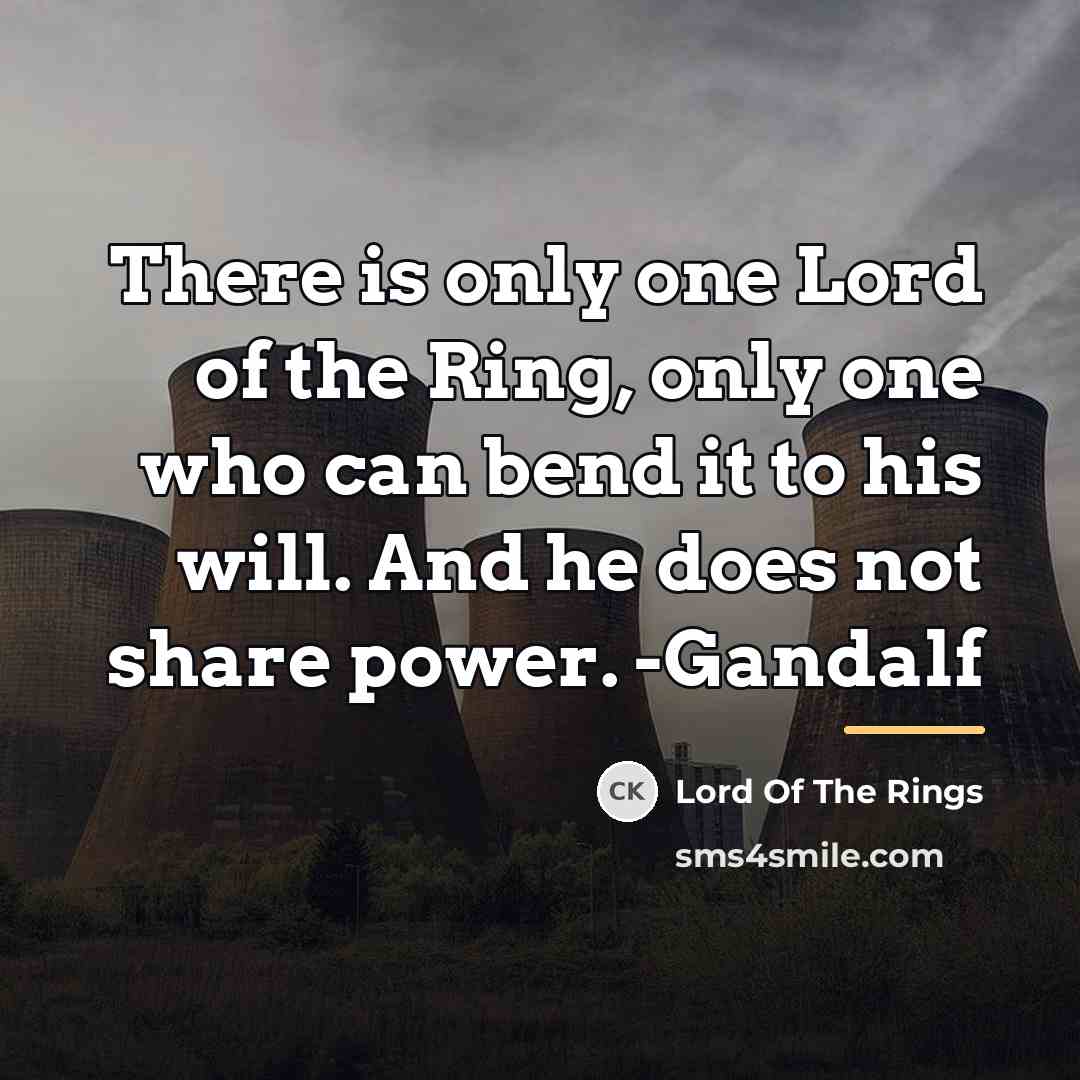“There is only one Lord of the Ring, only one…” quote by Lord Of The Rings