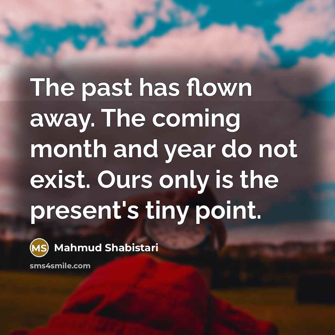 “The past has flown away. The coming month and year…” quote by Mahmud Shabistari