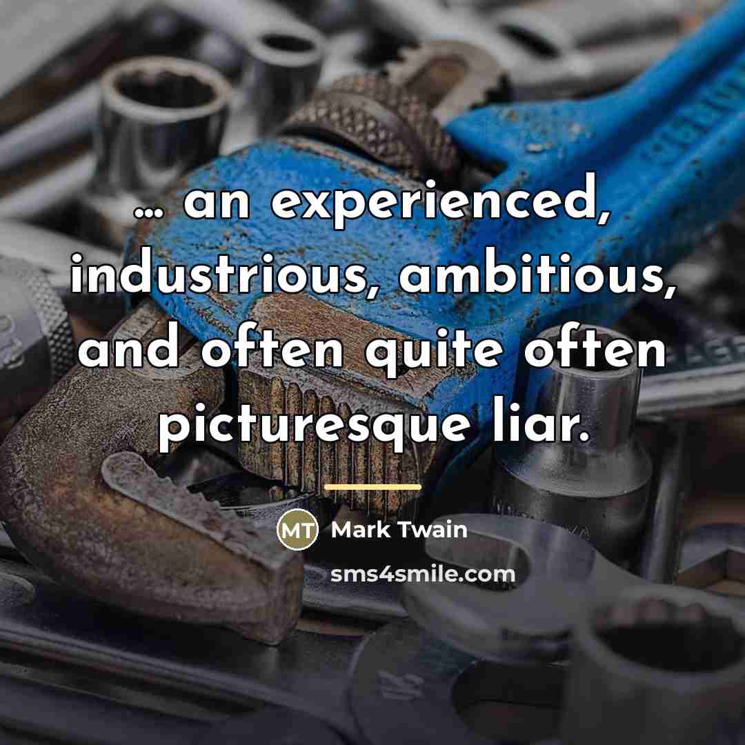 “... an experienced, industrious, ambitious, and often quite often picturesque…” quote by Mark Twain