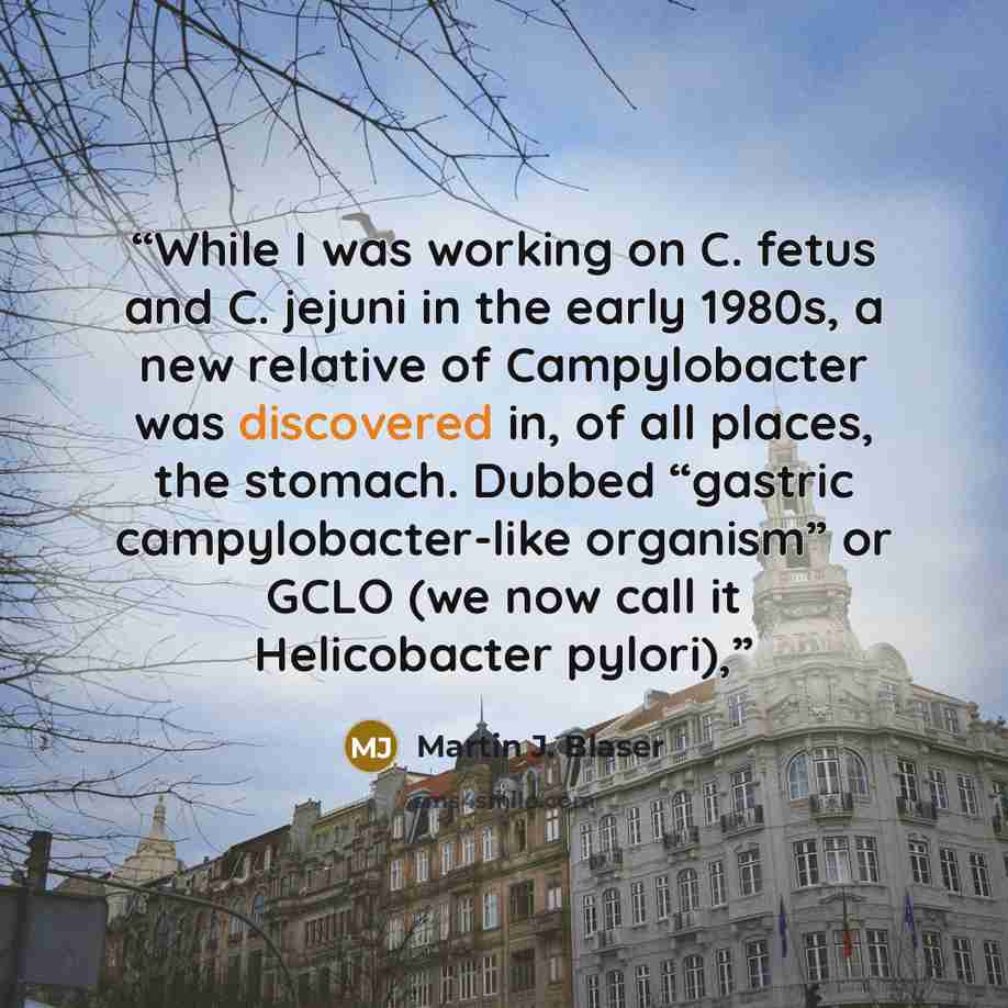 “While I was working on C. fetus and C. jejuni in the early 1980s, a new relative of Campylobacter was discovered in, of all places, the stomach. Dubbed “gastric campylobacter-like organism” or GCLO (we now call it Helicobacter pylori),” quote by Martin J. Blaser