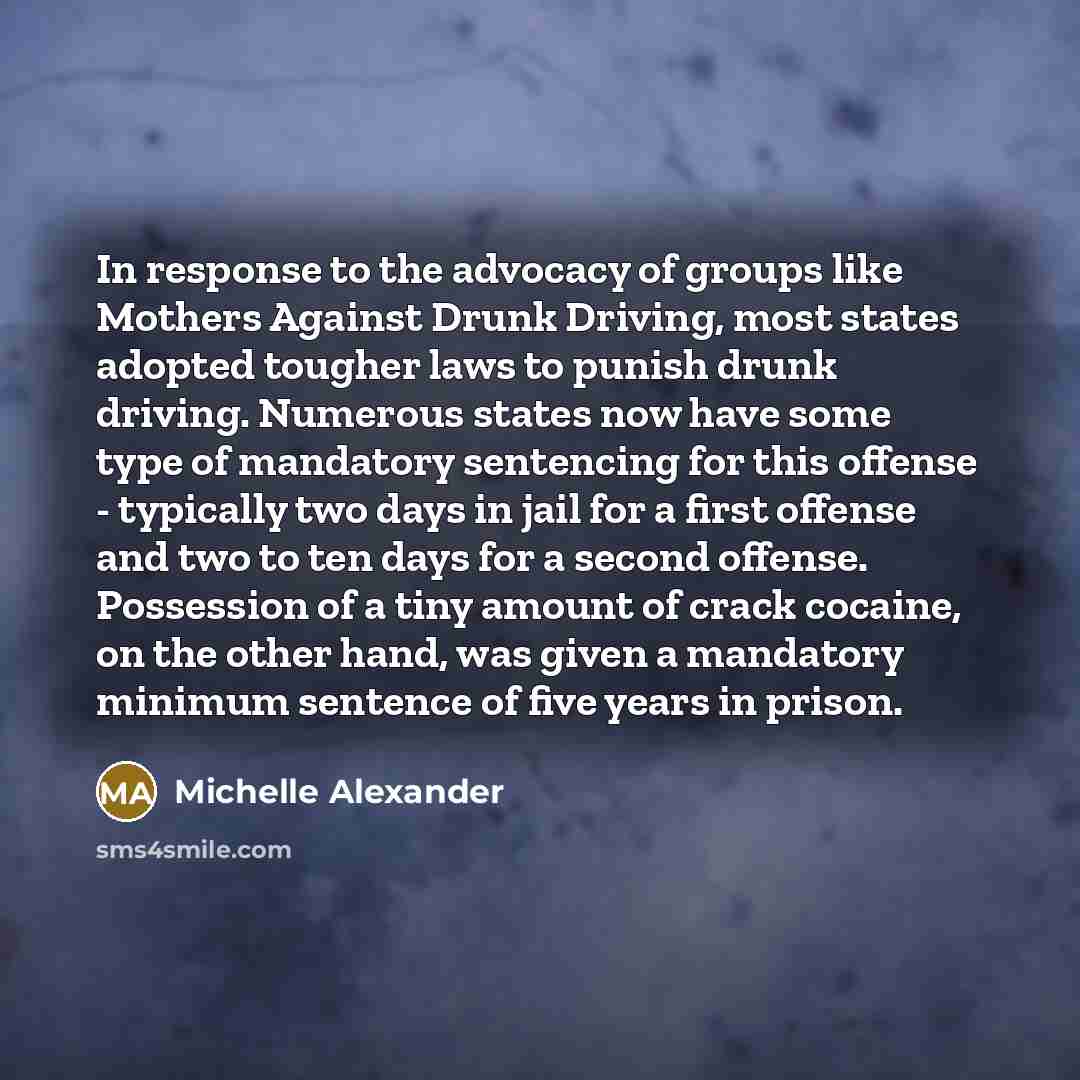“In response to the advocacy of groups like Mothers Against…” quote by Michelle Alexander