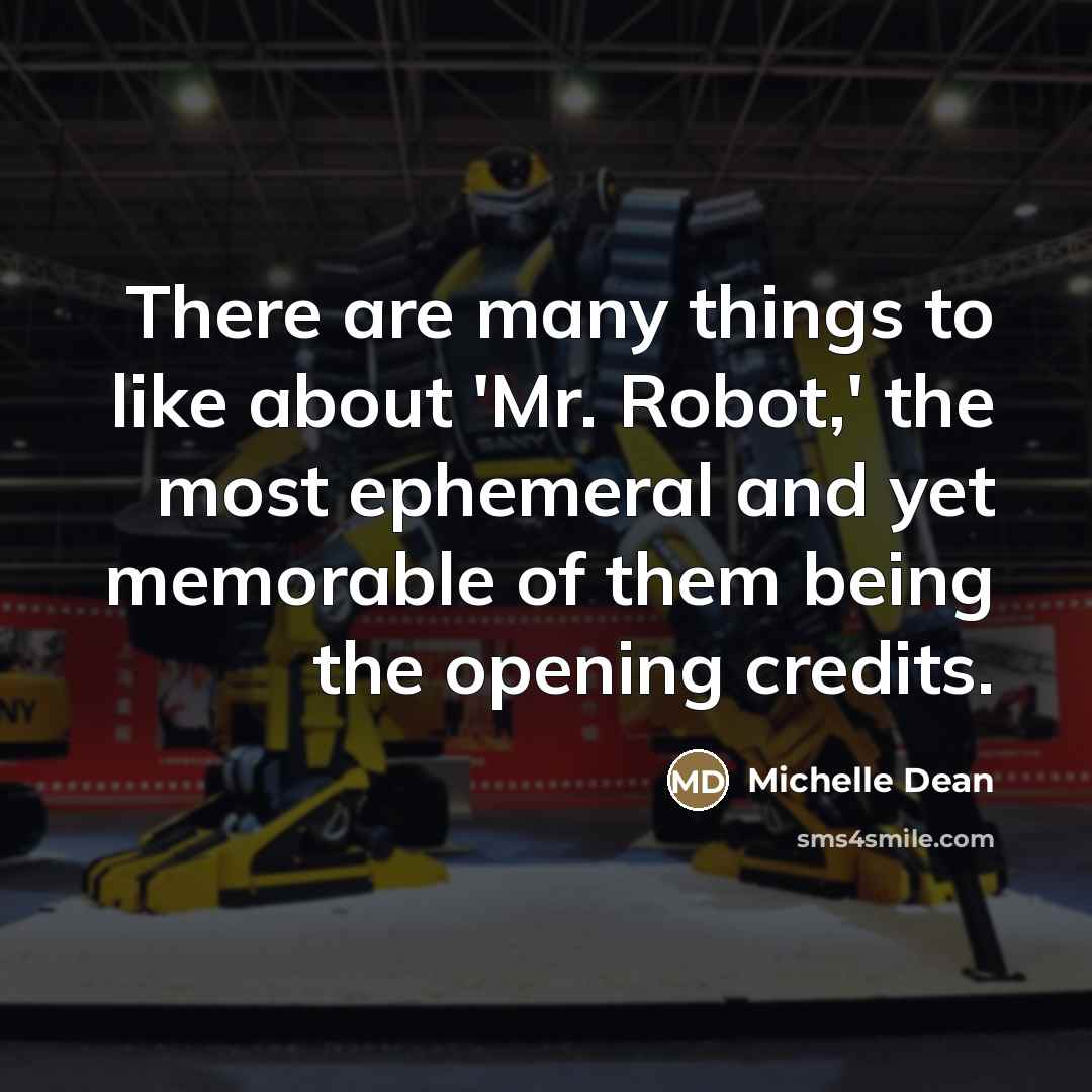 “There are many things to like about 'Mr. Robot,' the…” quote by Michelle Dean