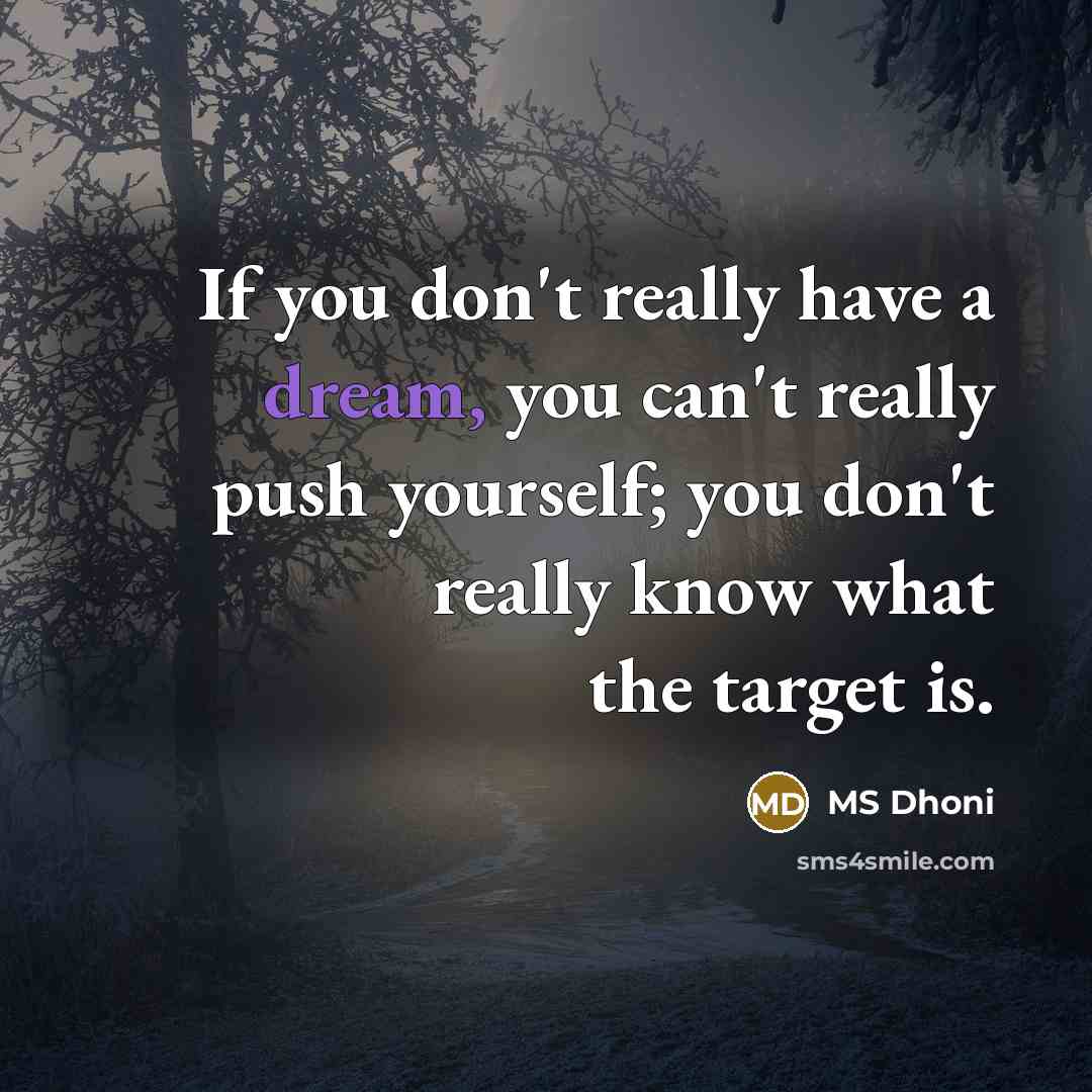 “If you don't really have a dream, you can't really…” quote by MS Dhoni