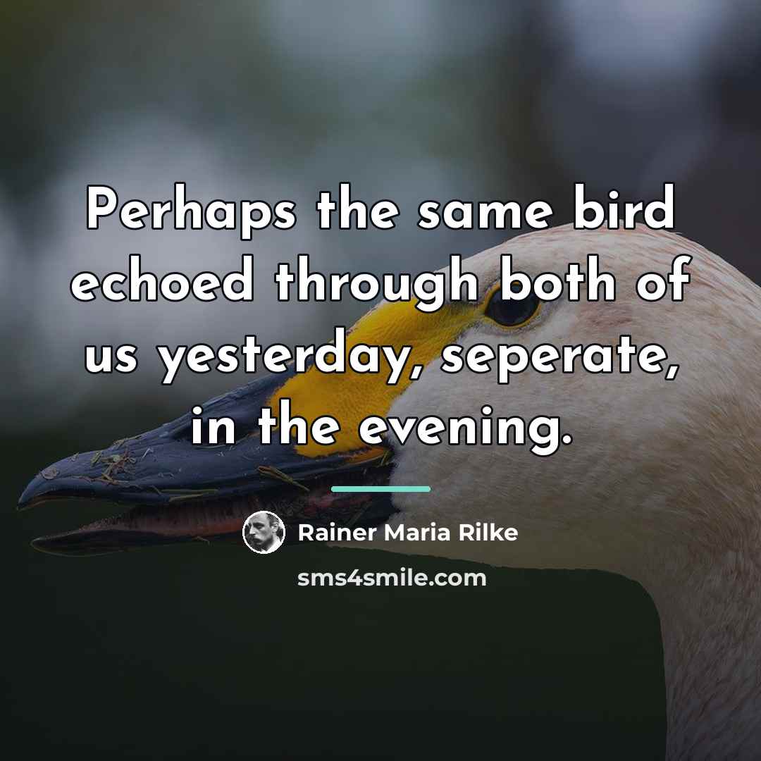 “Perhaps the same bird echoed through both of us yesterday,…” quote by Rainer Maria Rilke