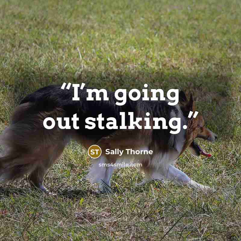 “I’m going out stalking.” quote by Sally Thorne