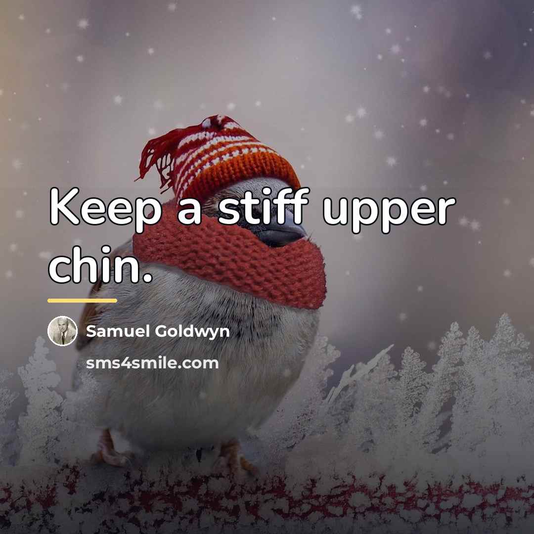 “Keep a stiff upper chin.…” quote by Samuel Goldwyn