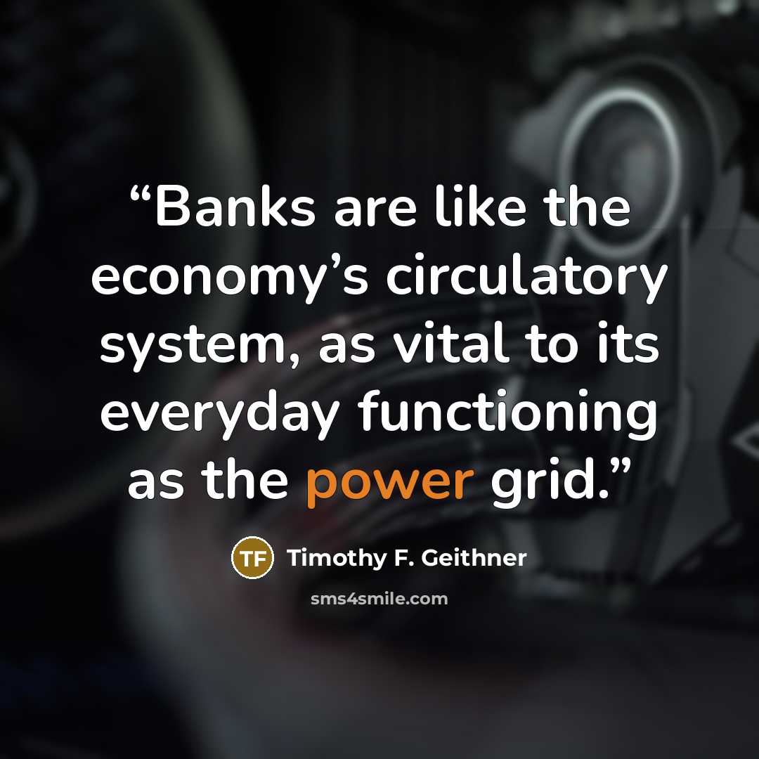 “Banks are like the economy’s circulatory system, as vital to its everyday functioning as the power grid.” quote by Timothy F. Geithner