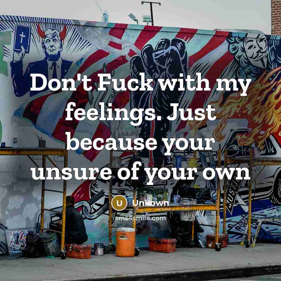 “Don't Fuck with my feelings. Just because your unsure of your own” quote by Unkown