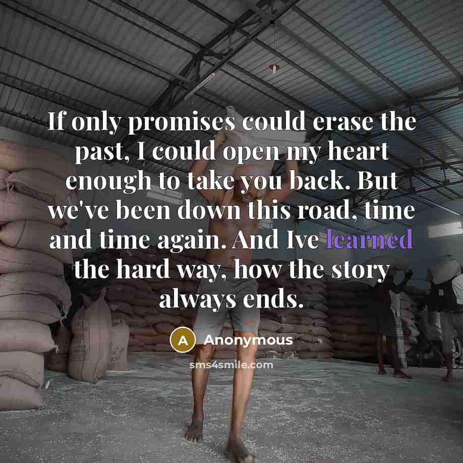 “If only promises could erase the past, I could open…” quote by Anonymous