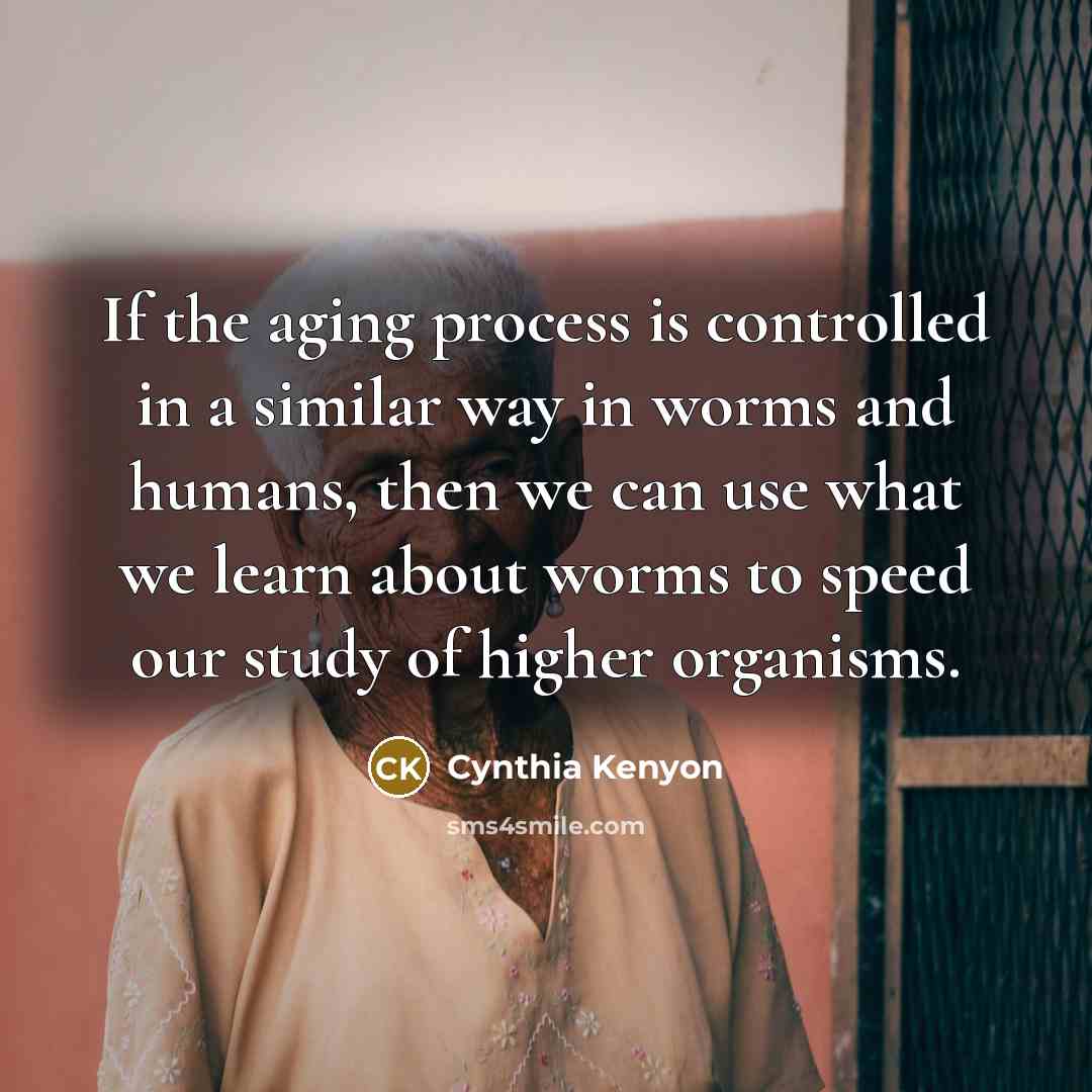 “If the aging process is controlled in a similar way…” quote by Cynthia Kenyon