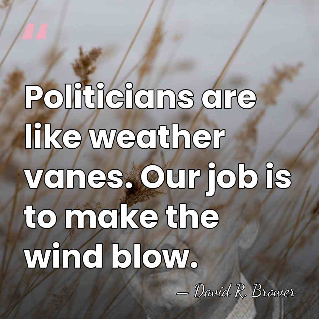 Politicians are like weather vanes. Our job is to make the wind&hellip; - David R. Brower