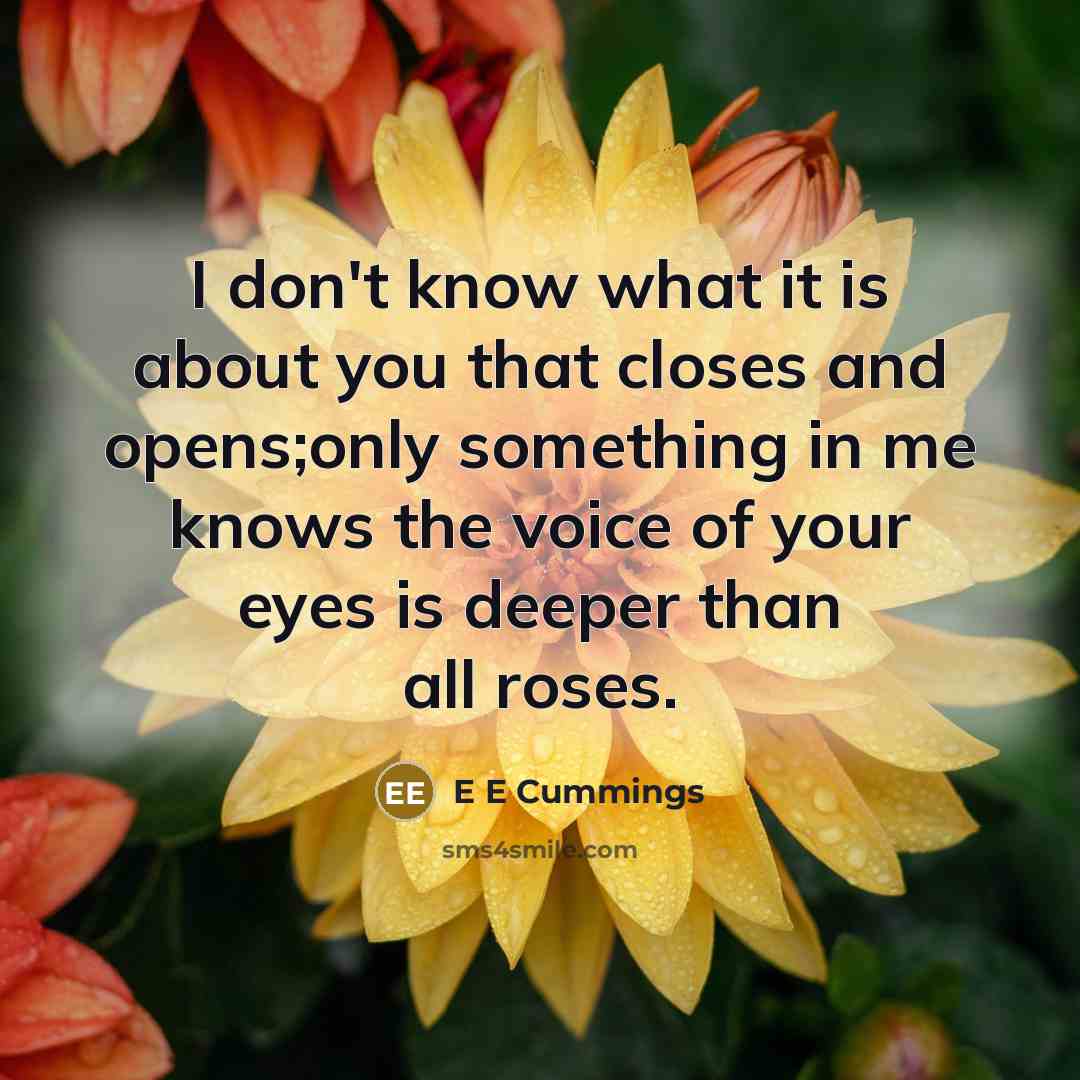 “I don't know what it is about you that closes…” quote by E E Cummings