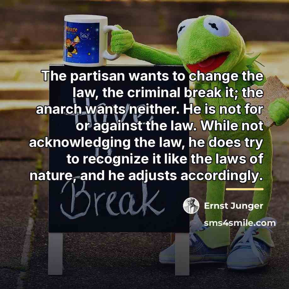 “The partisan wants to change the law, the criminal break…” quote by Ernst Junger