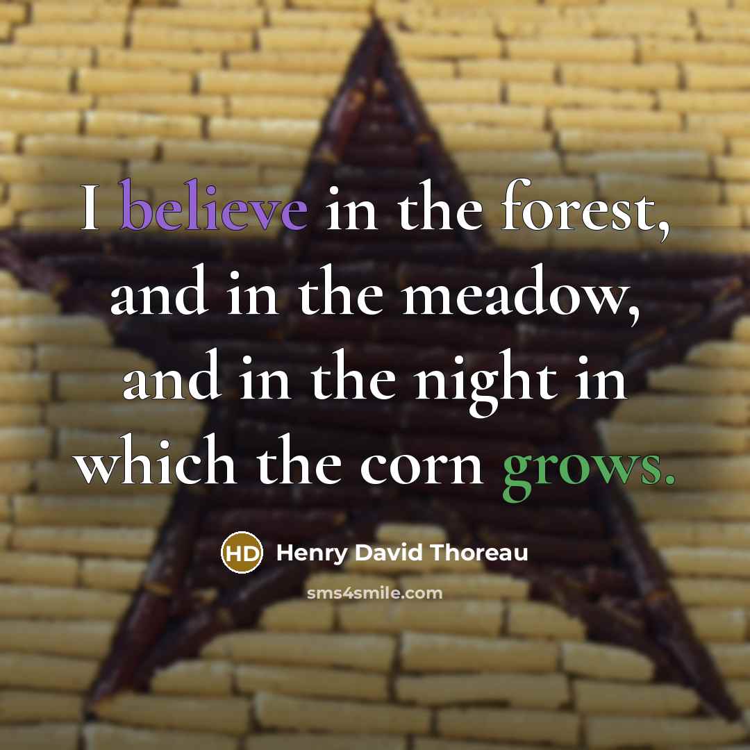 “I believe in the forest, and in the meadow, and…” quote by Henry David Thoreau