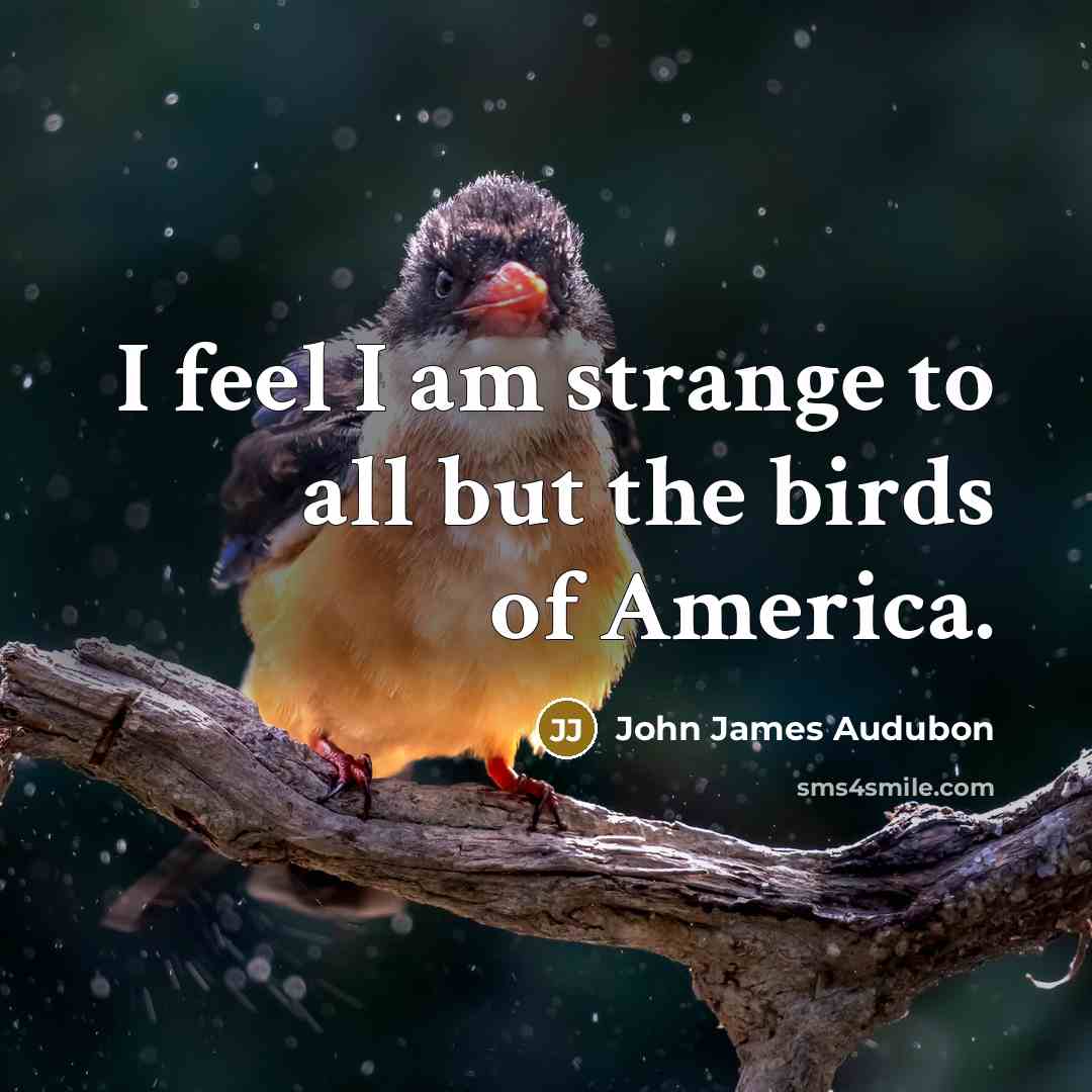 “I feel I am strange to all but the birds…” quote by John James Audubon