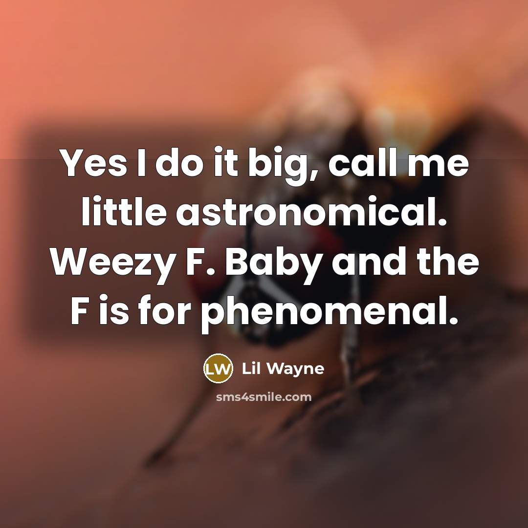 “Yes I do it big, call me little astronomical. Weezy F. Baby and the F is for phenomenal.” quote by Lil Wayne