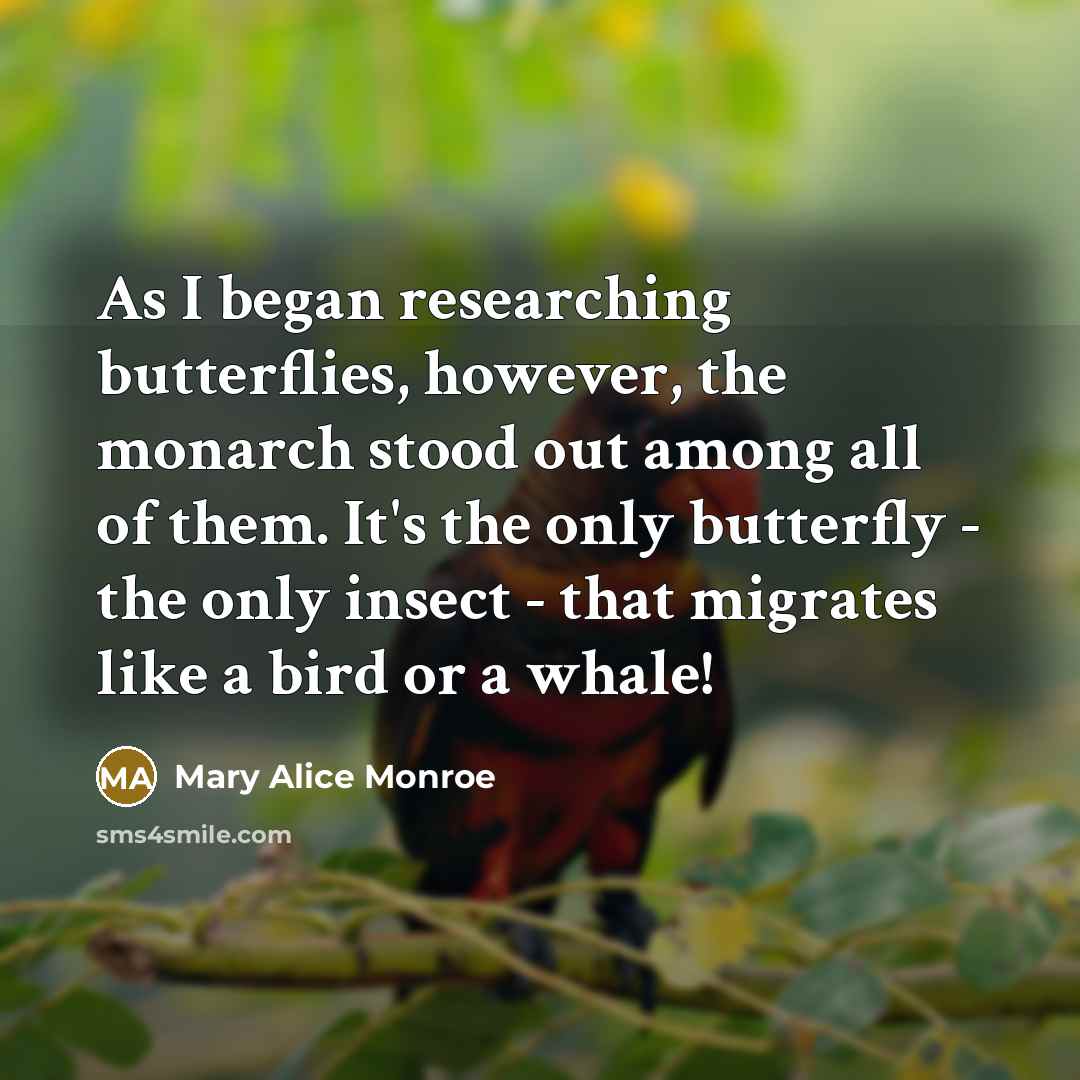 “As I began researching butterflies, however, the monarch stood out…” quote by Mary Alice Monroe