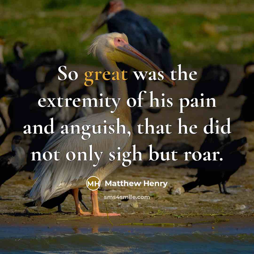 “So great was the extremity of his pain and anguish,…” quote by Matthew Henry