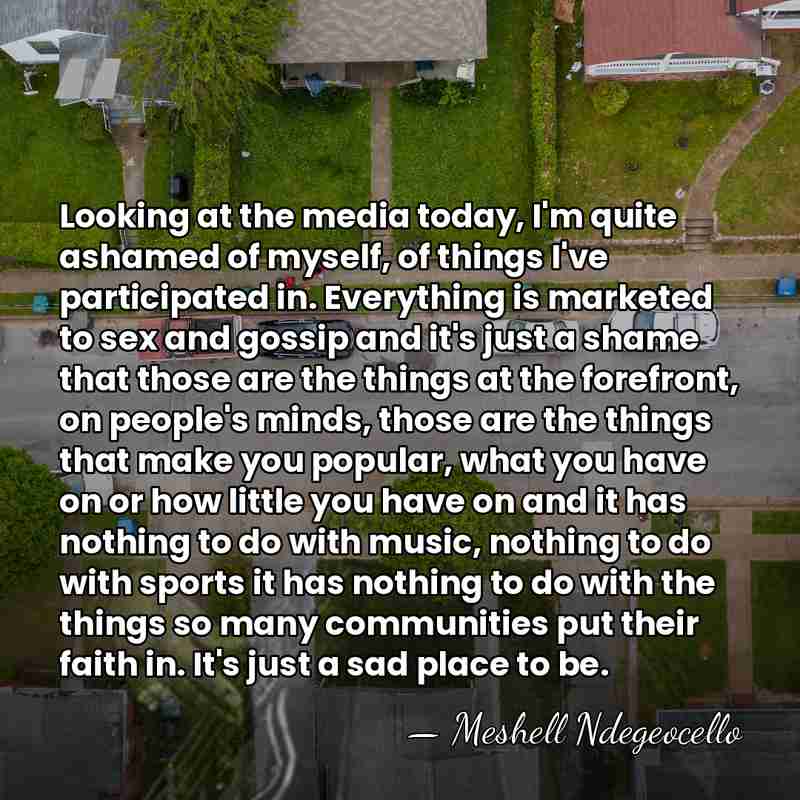 Looking at the media today, I'm quite ashamed of myself, of things&hellip; - Meshell Ndegeocello