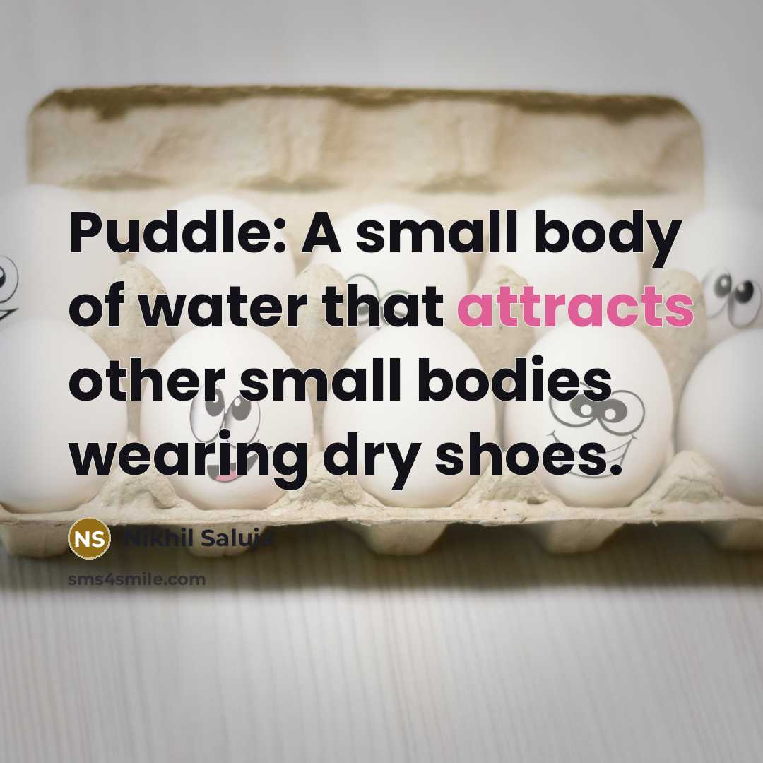 “Puddle: A small body of water that attracts other small…” quote by Nikhil Saluja