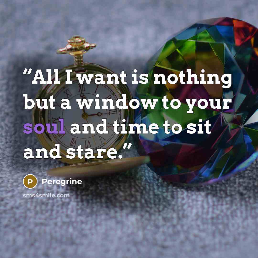 “All I want is nothing but a window to your soul and time to sit and stare.” quote by Peregrine
