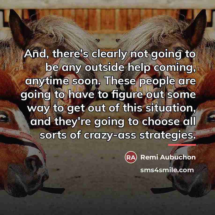 “And, there's clearly not going to be any outside help…” quote by Remi Aubuchon