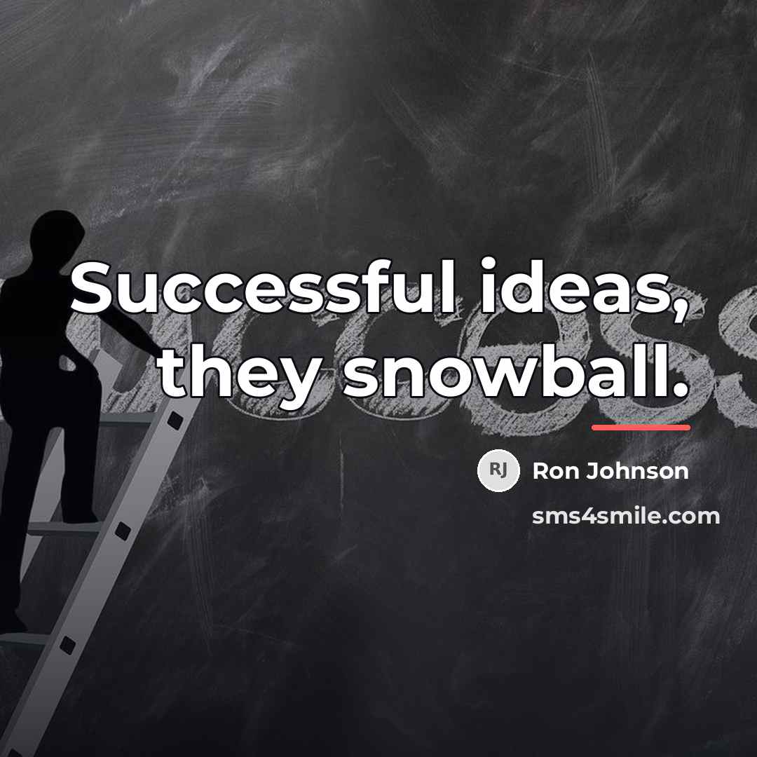 “Successful ideas, they snowball.…” quote by Ron Johnson