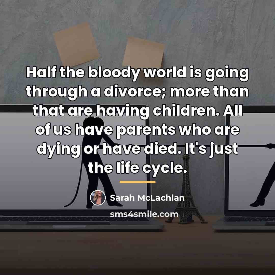 “Half the bloody world is going through a divorce; more…” quote by Sarah McLachlan