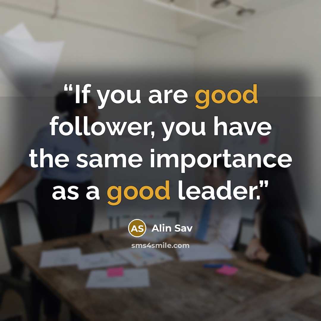 “If you are good follower, you have the same importance as a good leader.” quote by Alin Sav