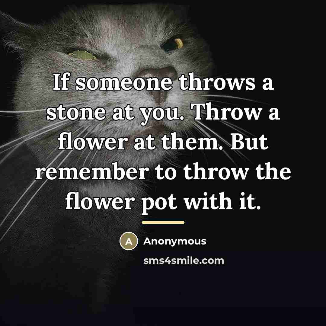 “If someone throws a stone at you. Throw a flower…” quote by Anonymous