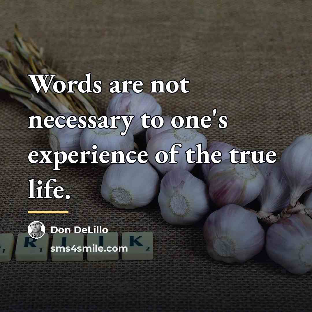 “Words are not necessary to one's experience of the true…” quote by Don DeLillo
