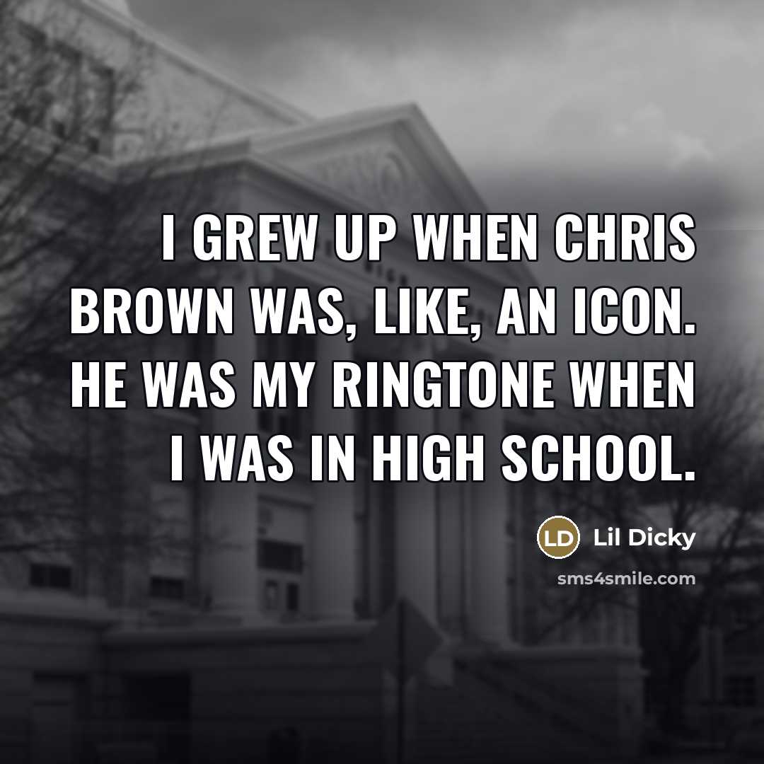“I grew up when Chris Brown was, like, an icon.…” quote by Lil Dicky