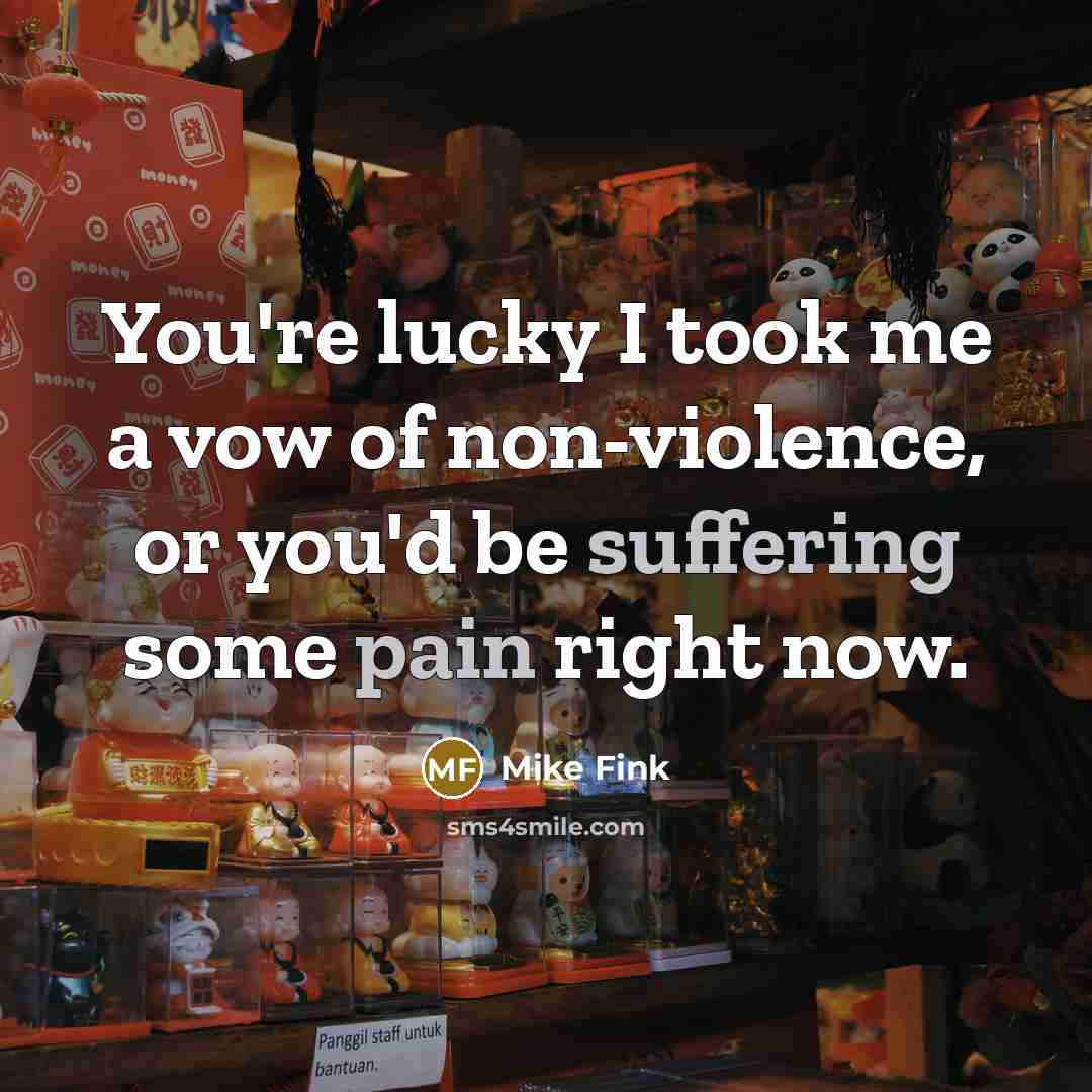 “You're lucky I took me a vow of non-violence, or you'd be suffering some pain right now.” quote by Mike Fink