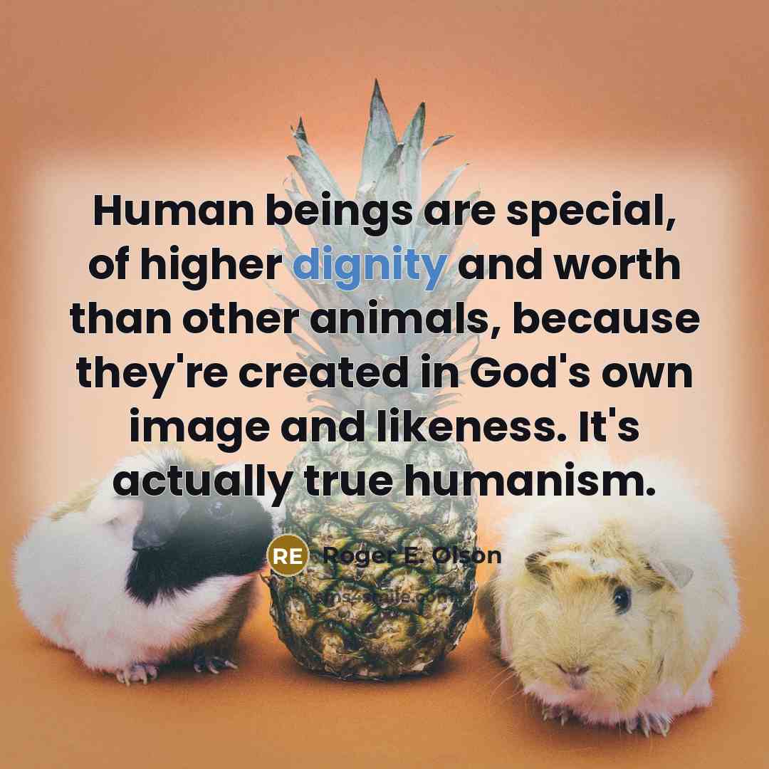 “Human beings are special, of higher dignity and worth than…” quote by Roger E. Olson
