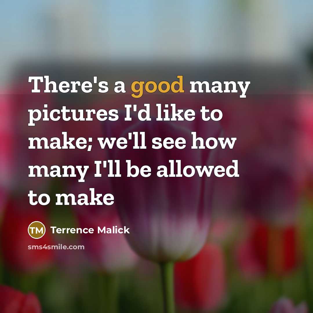 “There's a good many pictures I'd like to make; we'll…” quote by Terrence Malick