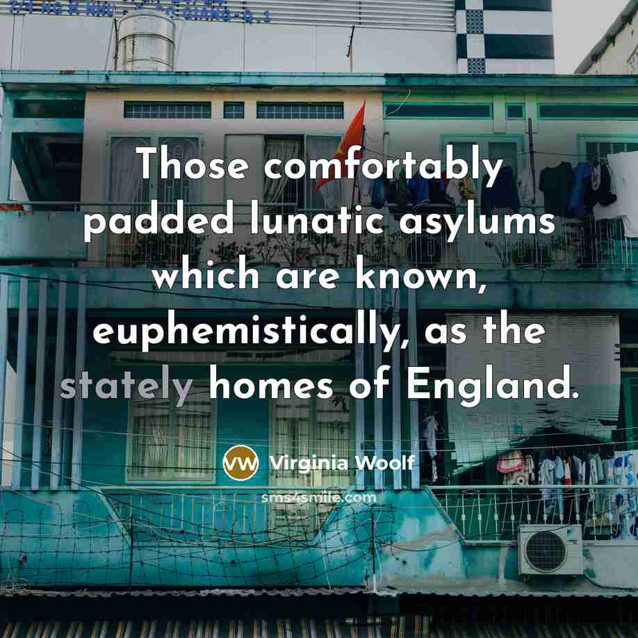 “Those comfortably padded lunatic asylums which are known, euphemistically, as…” quote by Virginia Woolf