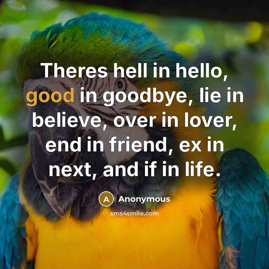 “Theres hell in hello, good in goodbye, lie in believe,…” quote by Anonymous