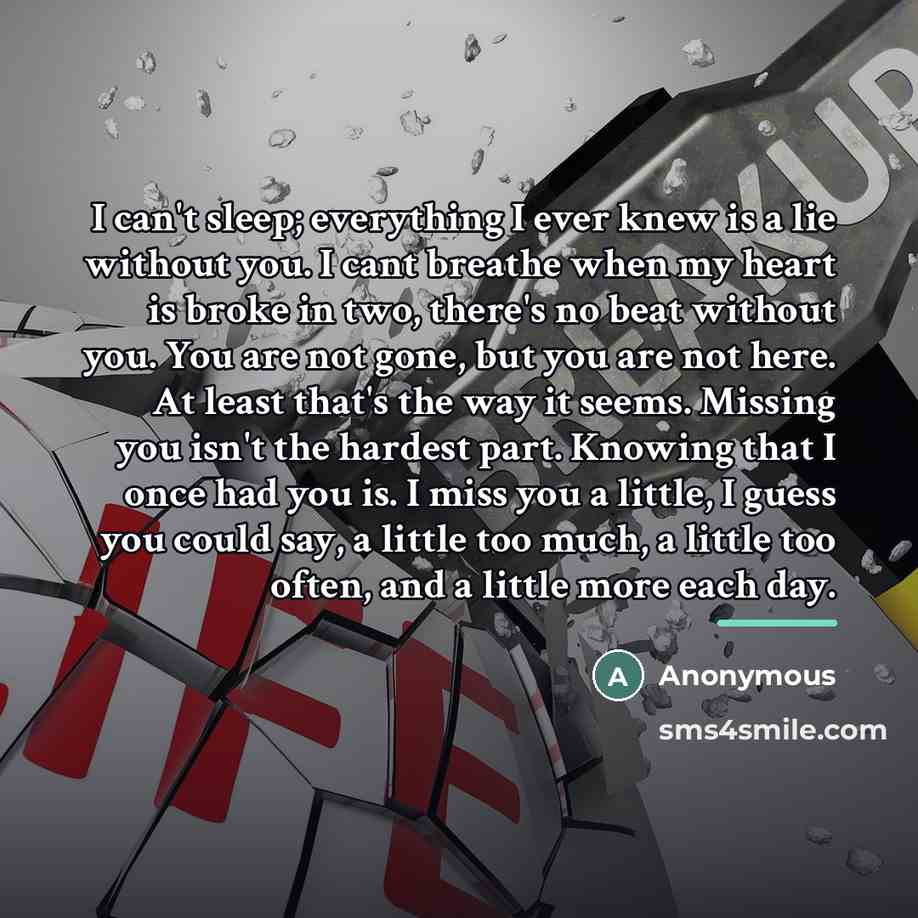 “I can't sleep; everything I ever knew is a lie…” quote by Anonymous