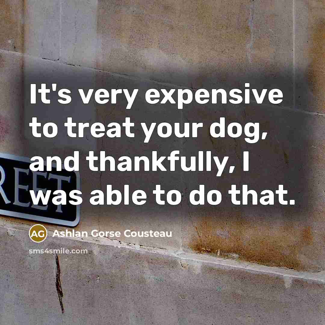 “It's very expensive to treat your dog, and thankfully, I…” quote by Ashlan Gorse Cousteau